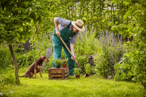 Team preparing hedges in Earls Court before payment