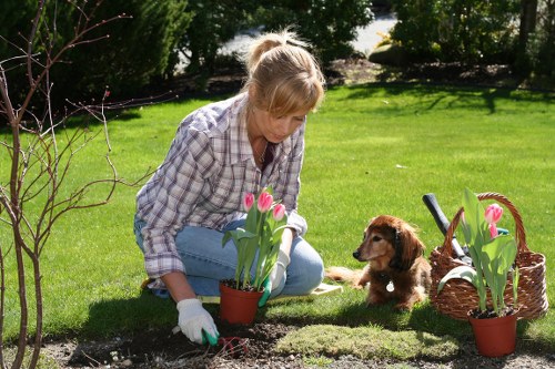 Field team performing hedge trimming work