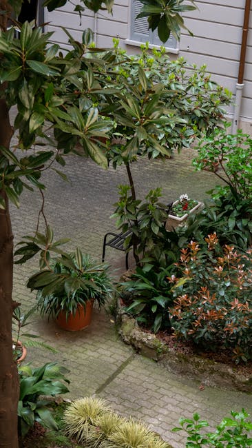 A small courtyard garden featuring a neatly trimmed hedge, lush green grass, and a compact flower bed bordered by wooden edging. The garden has a paved pathway made of grey stones leading through the